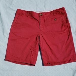 Chino Shorts
